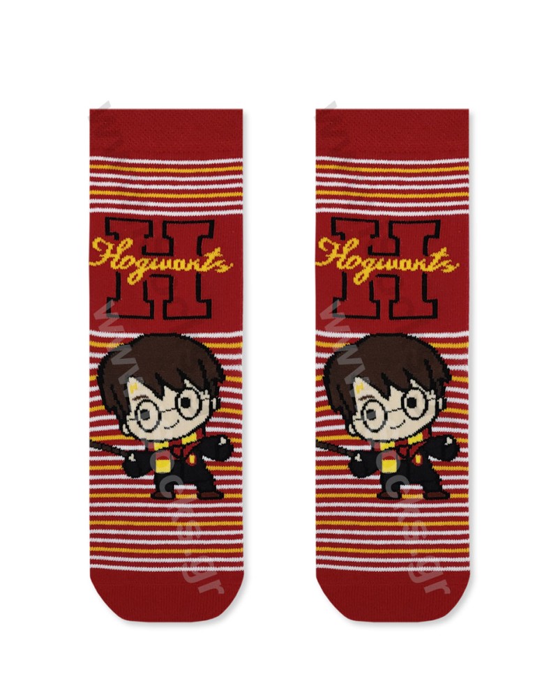 AXIDsocks Kids Socks Harry Potter