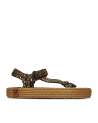 Miami Leopard