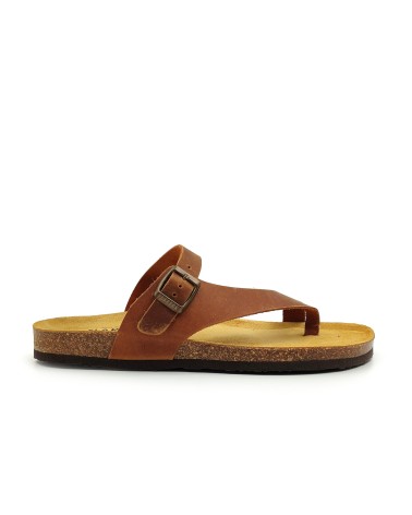 PLAKTON 175446 Apure Roble