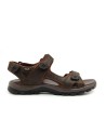 100-20 Brown