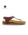 181676 Malva