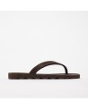 EARTH Brown