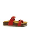 341032 Coral