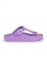 02 PURPLE